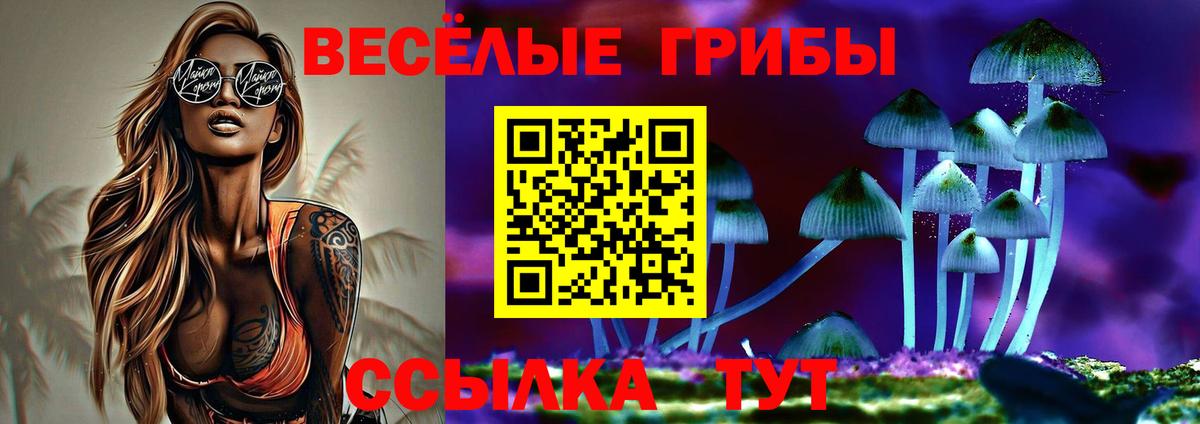 Дятьково  Экстази  MDMA  ГАШ  Вход с VPN  Мефедрон   Купить закладку  ГАШИШ  Alpha PVP СК кристаллы 